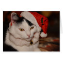 Sök efter santa katt Kattunge