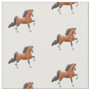 Sök efter saddlebred amerikan Saddlebreds