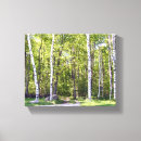 Sök efter björkar konst Foto