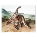 Sök efter texana posters Vintage