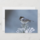 Sök efter titor vykort Gren