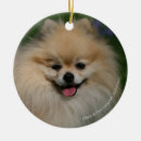 Sök efter pomeranian julgransprydnader Loulou