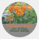 Sök efter milkweed Blomma