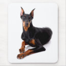 Sök efter pinscher musmattor Doberman