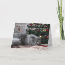 Sök efter rolig historia kort Hälsning