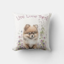 Sök efter pomeranian valp hem presenter Hund