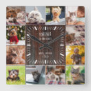 Sök efter minnesmärke konst For pets