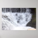 Sök efter bas fotografi Natur