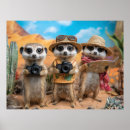 Sök efter särpräglad posters Söt