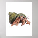 Sök efter krabbor posters Krabba