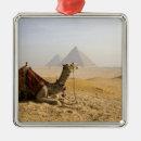 Sök efter dave hem presenter Pyramid