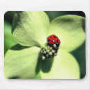 Sök efter ladybug musmattor Natur