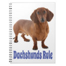 Sök efter dashunds Daschund