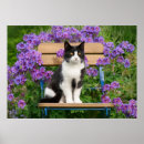 Sök efter blomma katt posters För barn