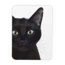 Sök efter roliga katter magneter Söta svarta katter