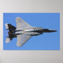 Sök efter kämpen posters Flygvapen