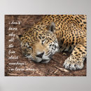 Sök efter cheetahs posters För alla