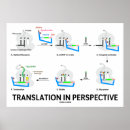 Sök efter proteiner posters Mrna