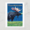 Sök efter yellowstone Montana