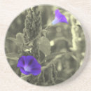 Sök efter gloria fotografi Blommigt