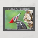 Sök efter birder vykort Naturfotografi