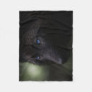 Sök efter svart varg filtar Vargar