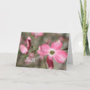 Sök efter rosa dogwood kort Natur