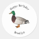 Sök efter anka tecknad klistermärken Fågel