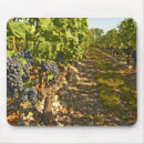 Sök efter sauvignon Vin