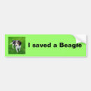 Sök efter beagle bildekaler Husdjur