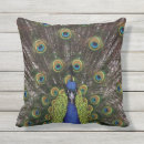 Sök efter påfågel kuddar Peafowl