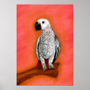 Sök efter afrikanska fåglar posters Lovebird