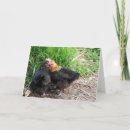 Sök efter anpassade fotografi Kärlek