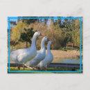 Sök efter aktie vykort För alla