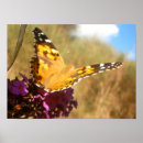 Sök efter soja posters Sommar