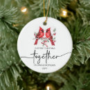 Sök efter fåglar julgransprydnader Par