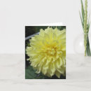 Sök efter dahliaen dahlias Trädgård