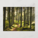 Sök efter småland Träd