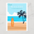 Sök efter malibu Surfbräda