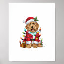 Sök efter labradoodle posters Valp