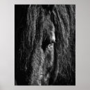 Sök efter häst huvud konst Porträtt