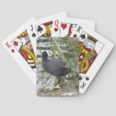 Sök efter kotte och spel presenter Natur