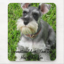 Sök efter mini schnauzer Hundar