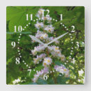 Sök efter kastanj konst Träd