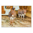 Sök efter hee haw Donkey