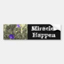 Sök efter händelse bildekaler Inspiration