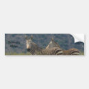 Sök efter zebra bildekaler Zebror