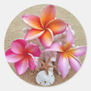 Sök efter plumeria klistermärken Frangipani