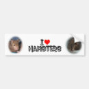 Sök efter hamsteren Hamsters