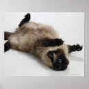 Sök efter kvadrera posters Skjuten studio